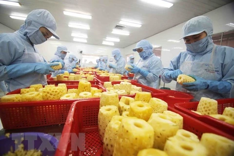 Переработка консервированных ананасовых продуктов на экспорт на фабрике компании по экспорту-импорту сельскохозяйственной продукции «Анжанг» (Фото: ВИА) 
