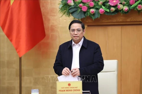 Премьер-министр Фам Минь Тьинь выступает на правительственном заседании. (Фото: Зыонг Жанг/ВИА)
