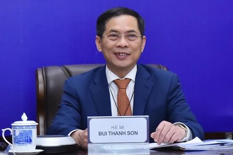 Министр иностранных дел Буй Тхань Шон. (Фото: ВИА)