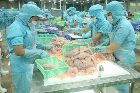 Переработка пангасиуса на экспорт на фабрике Sao Mai Group (провинция Донгтхап). (Фото: ВИА)
