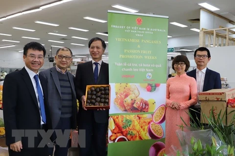Посол Вьетнама в Австралии Нгуен Тат Тхань держит коробку маракуйи на открытии недель продвижения вьетнамского пангасиуса и фруктов. (Фото: ВИА)