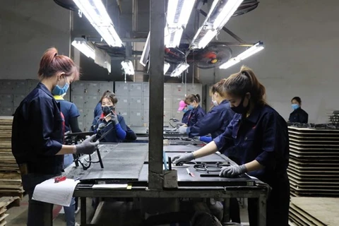 Рабочие работают на заводе Bright Vietnam International Co., Ltd., в уезде Тхуантхань, провинция Бакнинь. (Фото: ВИA) 