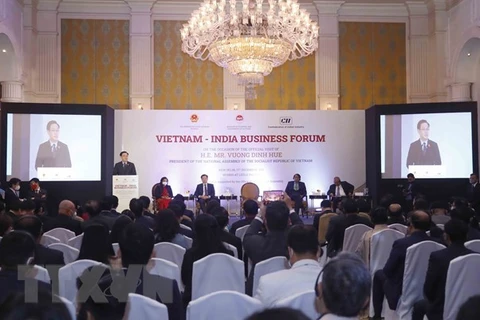 Председатель Национального собрания Выонг Динь Хюэ выступает на Вьетнамско-индийском бизнес-форуме (Фото: ВИА)