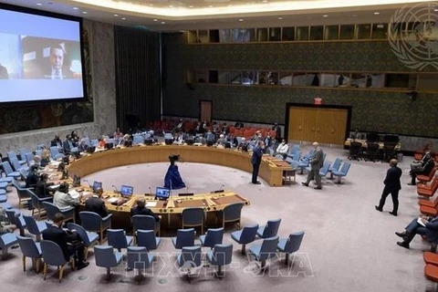 Рабочее заседание СБ ООН (Фото: ВИА)