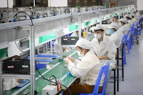 Рабочие работают на компании New Wing Interconnect Technology Co., Ltd (промышленный парк Ванчунг, Бакжанг). (Фото: ВИА)