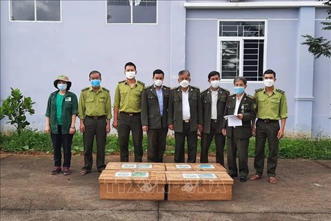 Рабочая группа Центра спасения, сохранения и развития животных получает черепах от Департамента охраны леса Дананга. (Фото: ВИА)