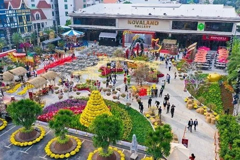 Фестиваль цветов в год Тигра-2022 в галерее Novaland, район 1, открыт бесплатно для посетителей. (Фото: ВИА)