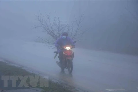 Человек едет на скутере под дождем (Фото: ВИА) 
