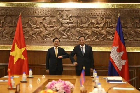 Министр иностранных дел Буй Тхань Шон (слева) 20 января проводит переговоры со своим камбоджийским коллегой Праком Сакхонном в ходе своего двухдневного визита в Камбоджу. (Фото: ВИА) 