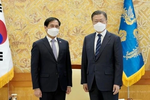 Президент РК Мун Чжэ Ин и министр иностранных дел Вьетнама Буй Тхань Шон (слева) (Фото: The Blue House)