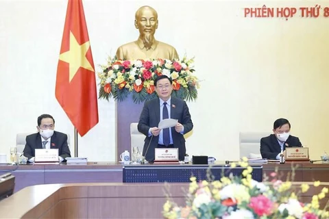 Председатель НС Выонг Динь Хюэ выступает на заседании. (Фото: ВИА)