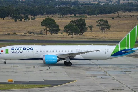 Рейс Bamboo Airways (Фото: ВИА) 