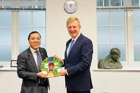 Посол Нгуен Хоанг Лонг вручает подарок на память сопредседателю Британской консервативной партии сэру Оливеру Даудену. (Фото: ВИА)