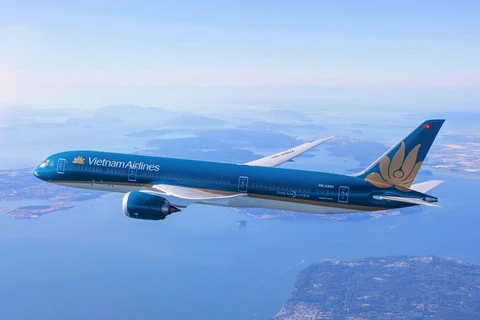 Самолет Vietnam Airlines. (Фото: Vietnam Airlines)