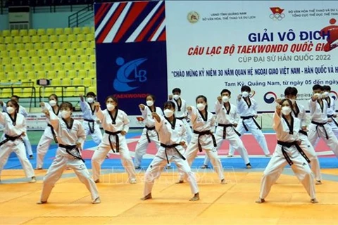 Выступление мастеров боевых искусств тхэквондо на церемонии открытия. (Фото: ВИА)