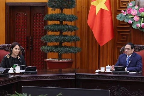 Премьер-министр Фам Минь Тьинь принимает нового посла Новой Зеландии во Вьетнаме Треден Добсон (Фото: ВИА)