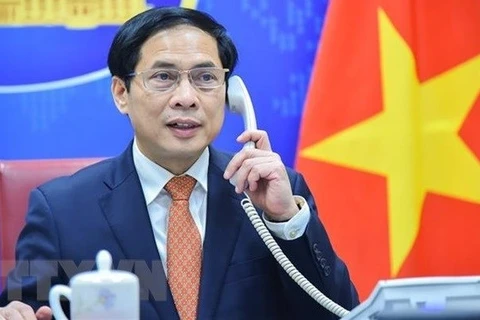 Министр иностранных дел Буй Тхань Шон (Фото: ВИА) 