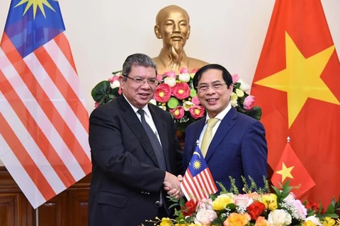 Министр иностранных дел Буй Тхань Шон (справа) принимает своего малайзийского коллегу Сайфуддина Абдуллу (Фото: ВИА)