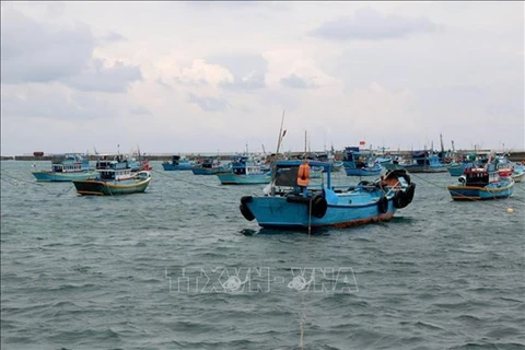 Рыболовные суда (Фото: ВИА)