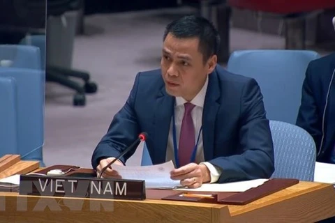 Посол Данг Хоанг Жанг, глава постоянного представительства Вьетнама при ООН. (Фото: ВИА) 
