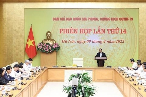 Премьер-министр Фам Минь Тьинь выступает на совещании (Фото: ВИА)