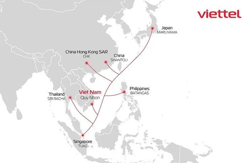 Схема подключения оптоволоконного кабеля ADC. (Фото: vietbao.vn)