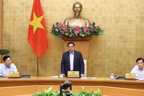 Премьер-министр Фам Минь Тьинь выступает на заседании правительства 29 апреля. (Фото: ВИА) 