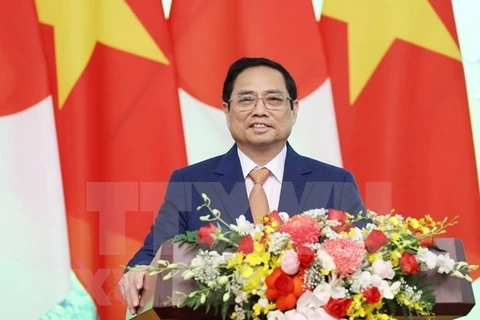Премьер-министр Фам Минь Тьинь (Фото: ВИА)