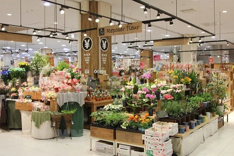 Цветы в продаже в торговом центре AEON Mall Makuhari в префектуре Тиба, Япония (Фото: ВИА)