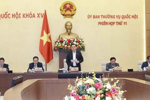 Председатель НС Выонг Динь Хюэ выступает на открытии заседания. (Фото: ВИА)