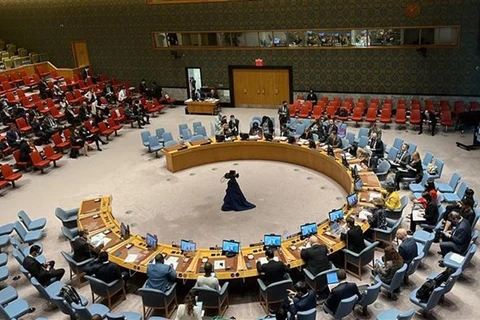 Открытые дебаты СБ ООН о защите гражданских лиц в вооруженных конфликтах 25 мая (Фото: ВИА)