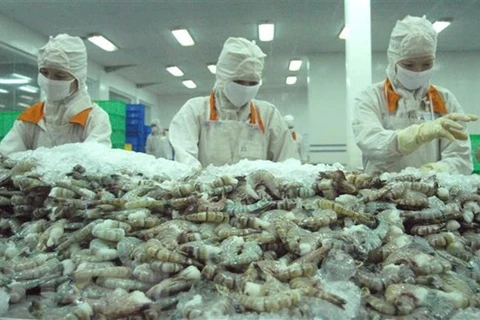 Переработка креветок на экспорт в Cafatex Hau Giang. Белорусы хорошо знакомы с ключевыми продуктами Вьетнама, в том числе с морепродуктами. (Фото: ВИА)