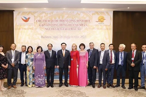 Председатель Национального собрания Выонг Динь Хюэ (девятый справа) встречается с представителями вьетнамских деловых кругов в Европе. (Фото: ВИА) 