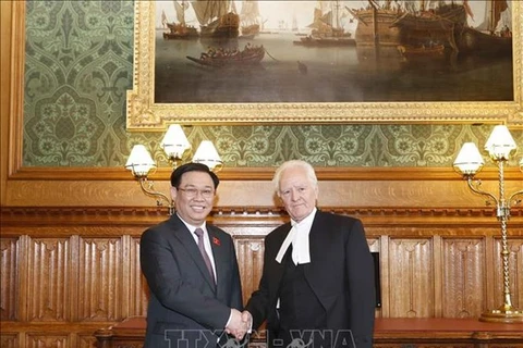 Председатель НС Выонг Динь Хюэ (слева) встречается со спикером Палаты лордов Великобритании Джоном Макфоллом 