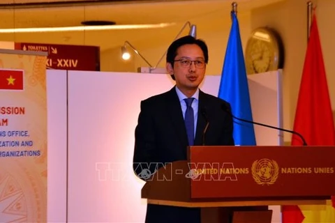 Помощник министра иностранных дел До Хунг Вьет (Фото: ВИА)