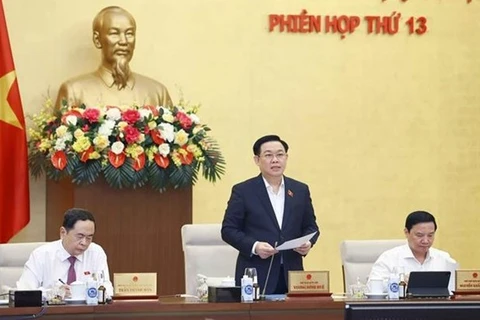 Председатель НС Выонг Динь Хюэ выступает на мероприятии (Фото: ВИА) 