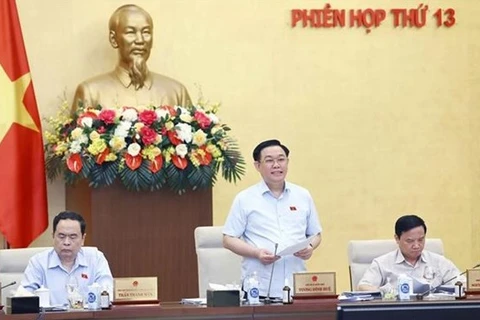 Выступает председатель НС Выонг Динь Хюэ. (Фото: ВИА)