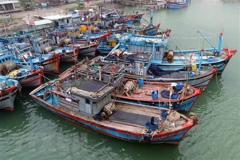 Рыбацкие лодки пришвартованы в Дананге. (Фото: Чан Ле Лам/ВИА)