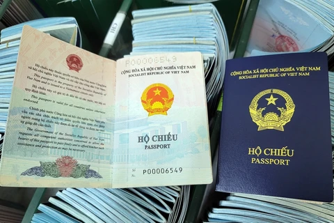Новый бланк паспорта с фиолетовой обложкой. (Источник: VGP)