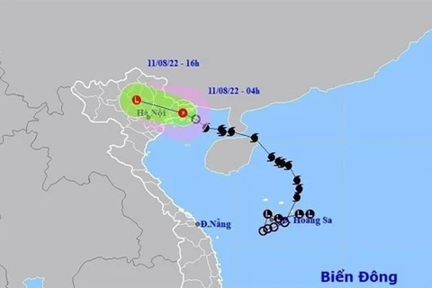 Ураган «Мулан» превратился в тропическую депрессию после входа в Тонкинский залив ночью 10 августа. (Фото: ВИА) 