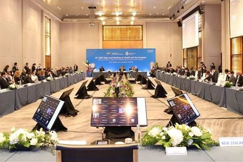 12-я встреча высокого уровня АТЭС по вопросам здравоохранения и экономики, состоявшаяся в Бангкоке (Таиланд) 25–26 августа. (Фото: ВИА)