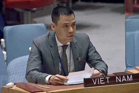 Посол Данг Хоанг Жанг, глава Постоянного представительства Вьетнама при ООН (Фото: ВИА) 