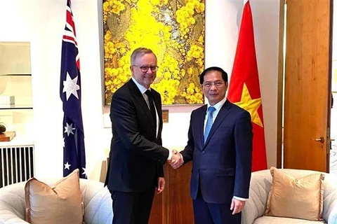 Министр иностранных дел Буй Тхань Шон нанес визит вежливости премьер-министру Австралии Энтони Альбанезе в Доме Федеральный парламент Австралии. (Фото: ВИА)