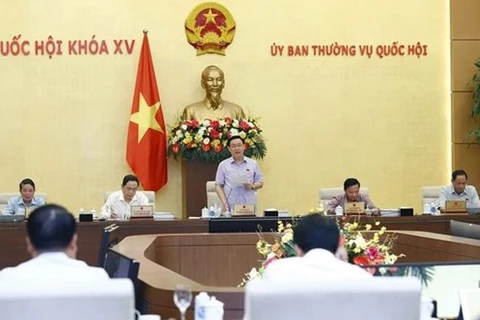 Председатель НС Выонг Динь Хюэ выступает на мероприятии. (Фото: ВИА)