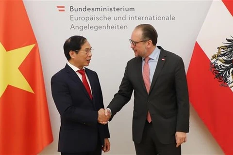 Министр иностранных дел Буй Тхань Шон (слева) встречается со своим австрийским коллегой Александром Шалленбергом. (Фото: ВИА) 