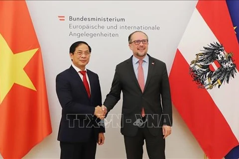 Министр иностранных дел Вьетнама Буй Тхань Шон (слева) и его австрийский коллега Александр Шалленберг. (Фото: ВИА) 