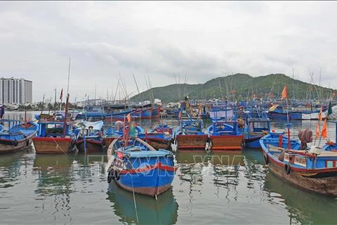 Чтобы внести свой вклад в снятие «желтой карточки» с рыбной промышленности, рыбаки Кханьхоа прилагают усилия по борьбе с незаконным, несообщаемым и нерегулируемым (ННН) промыслом. (Фото: ВИА)