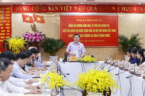 Председатель НС Выонг Динь Хюэ выступает с заключительной речью рабочей встречи. (Фото: ВИА)
