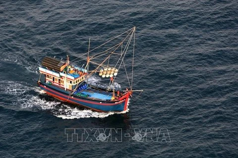Рыбацкие лодки на водах Фукуока, провинция Киенжанг. (Фото: ВИА)