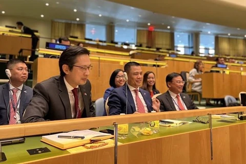 Делегация Вьетнама приняла участие в сессии голосования членов в Совете ООН по правам человека. (Фото: ВИА)